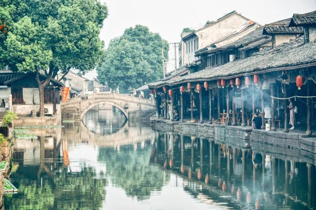 天上掉下个小猪猪